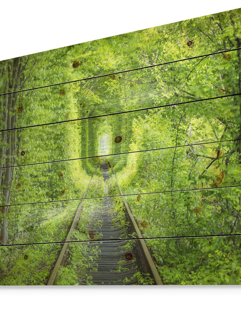 DesignQ Forest Around Rail Way Tunnel - Landscape Print On Natural Pine Wood