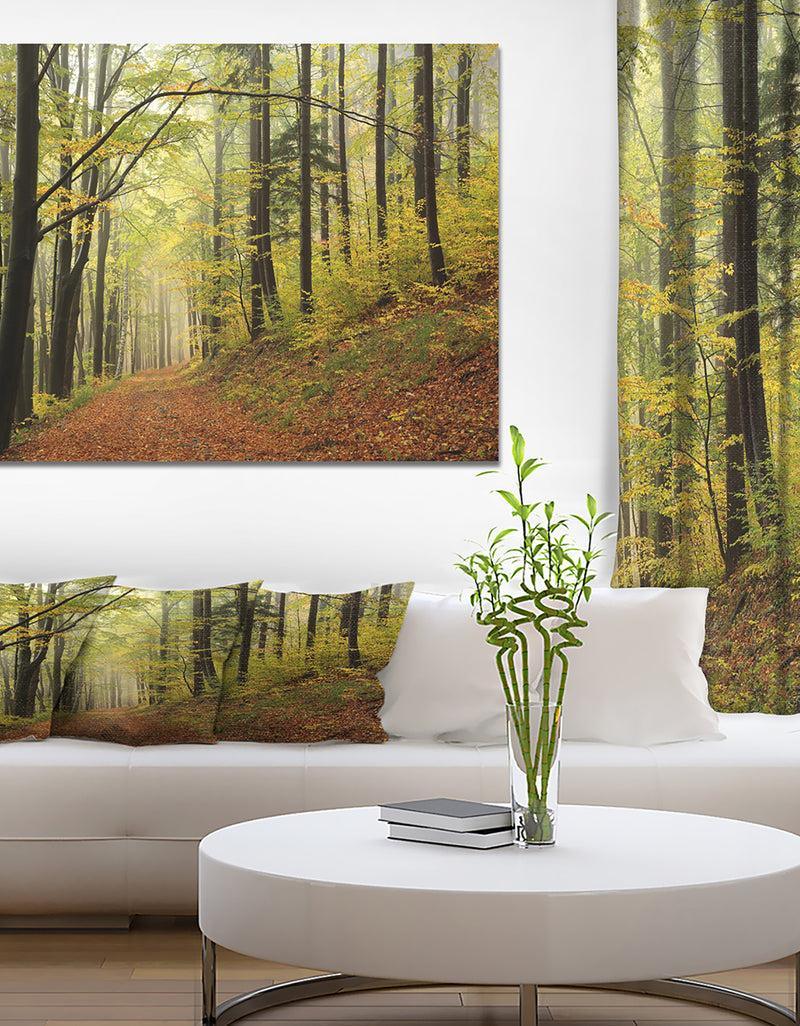 DesignQ Forest trail in the fog - Forest Landscapes Photographic on wrapped Canvas