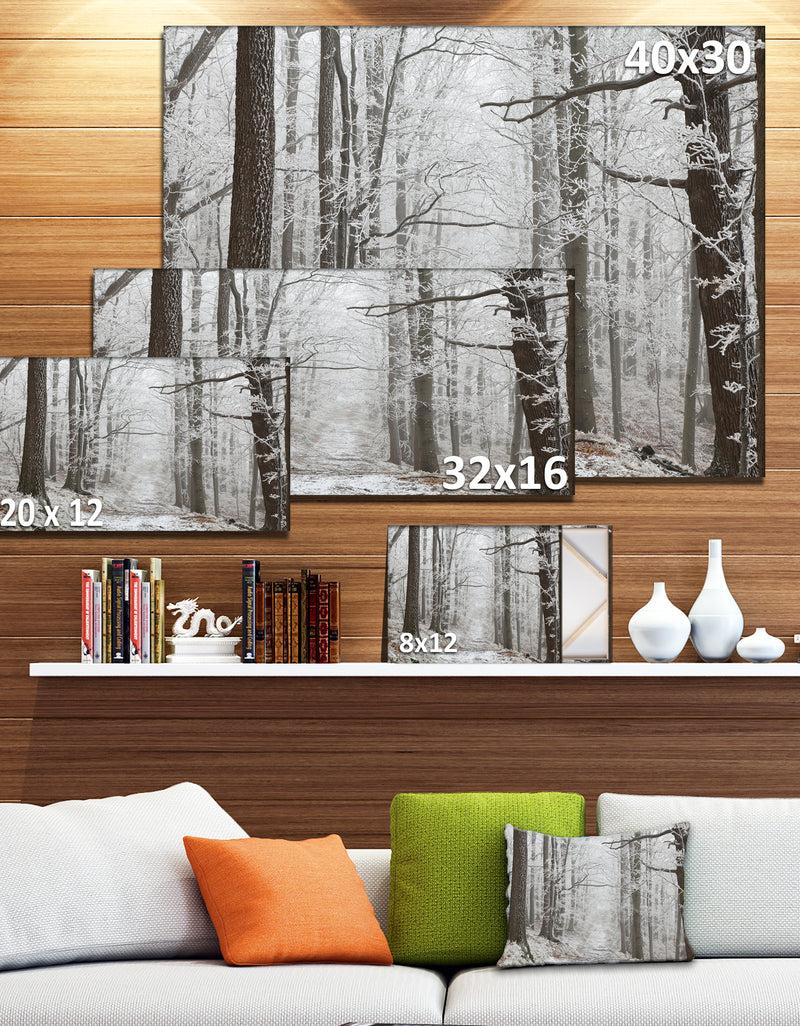 DesignQ Forest Trail On Winter Morning - Large Forest Artwork Canvas