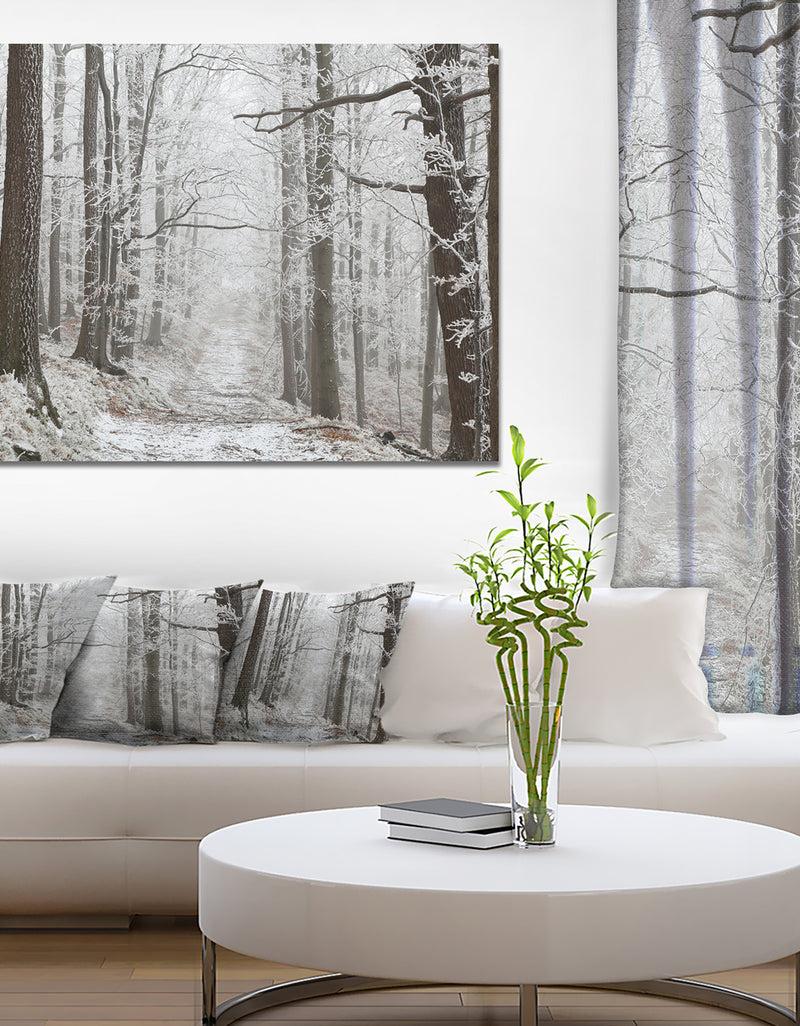 DesignQ Forest Trail On Winter Morning - Large Forest Artwork Canvas