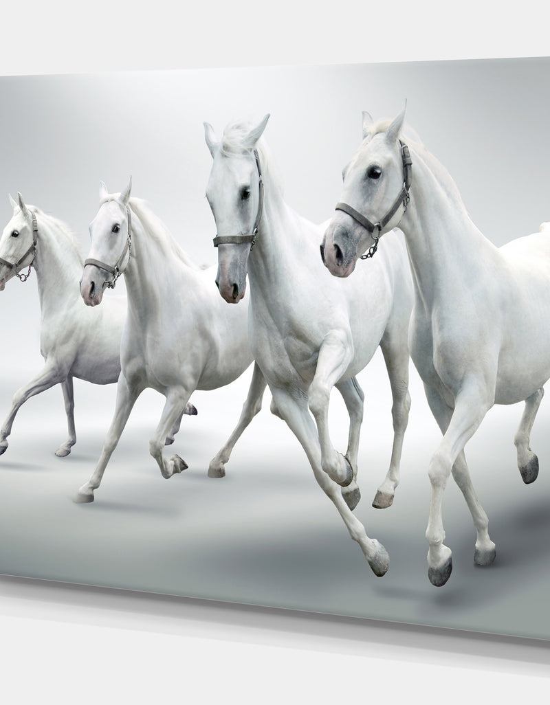 DesignQ Four White Horses - Farmhouse Animals Photographic On Wrapped Canvas