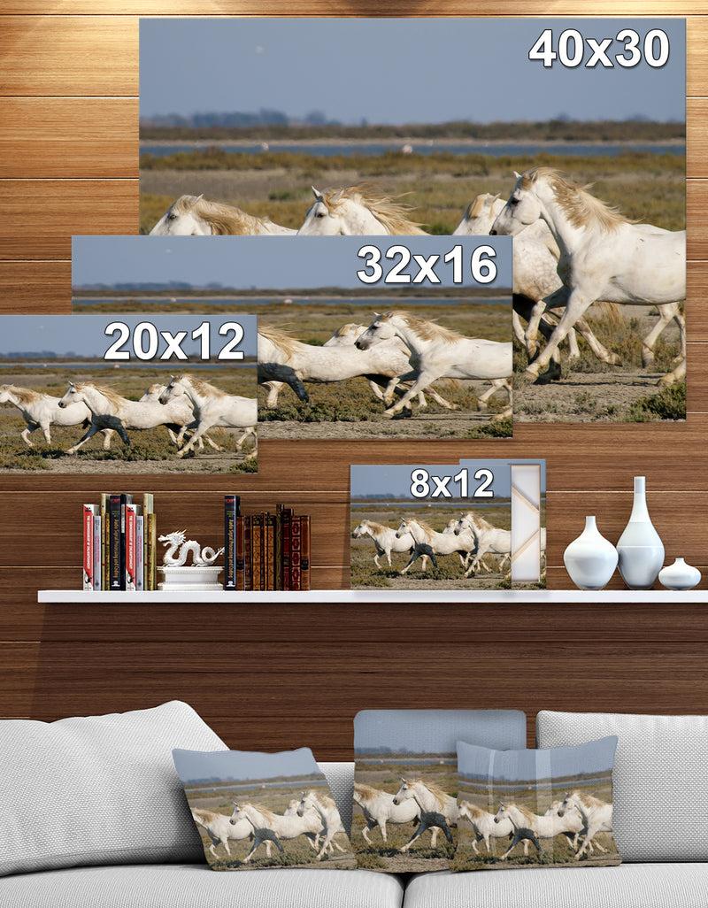 DesignQ France Galloping White Horse - Farmhouse Animals Photographic On Wrapped Canvas