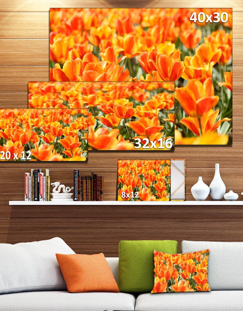 DesignQ Fresh Tulip Flowers On Sunny Day - Floral Canvas Art Print