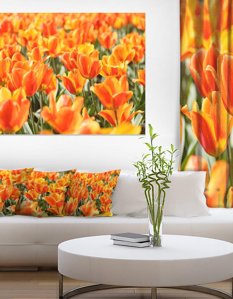 DesignQ Fresh Tulip Flowers on Sunny Day - Floral Canvas Art Print