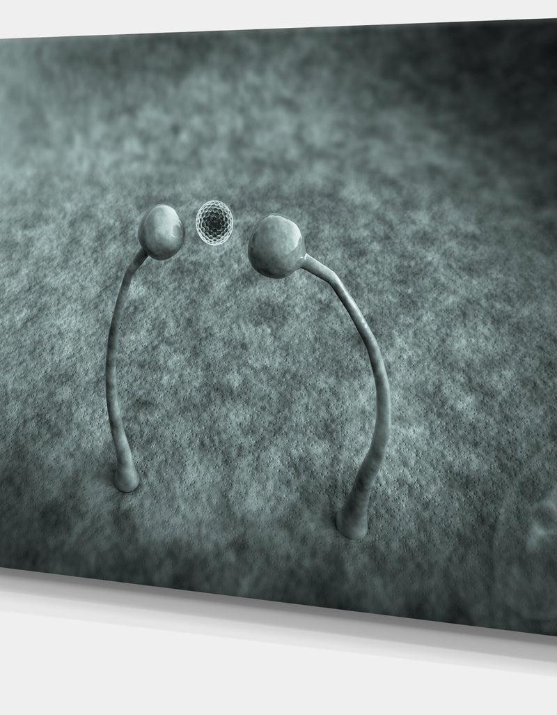 DesignQ Fungus On Leather Surface - Extra Large Landscape Canvas Art Print