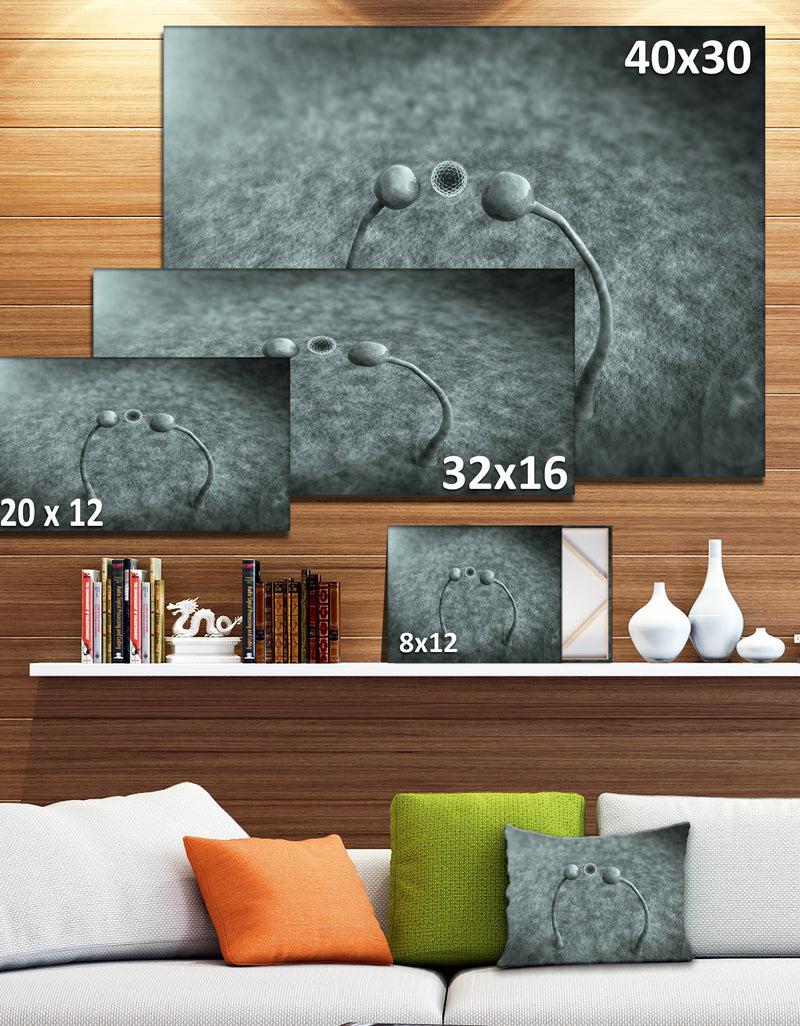 DesignQ Fungus On Leather Surface - Extra Large Landscape Canvas Art Print