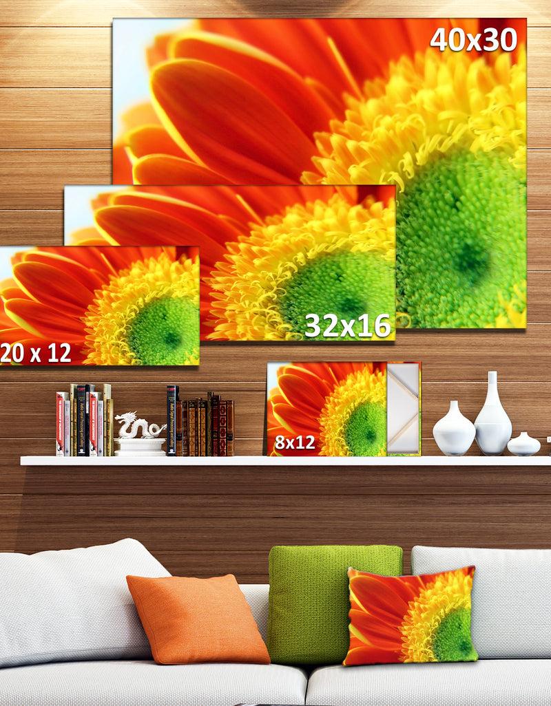 DesignQ Gerber Daisy Flower Petals - Extra Large Floral Canvas Art