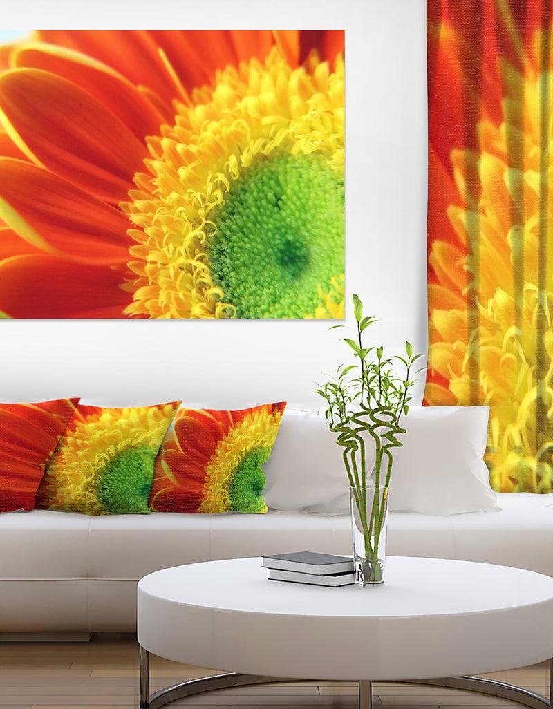 DesignQ Gerber Daisy Flower Petals - Extra Large Floral Canvas Art