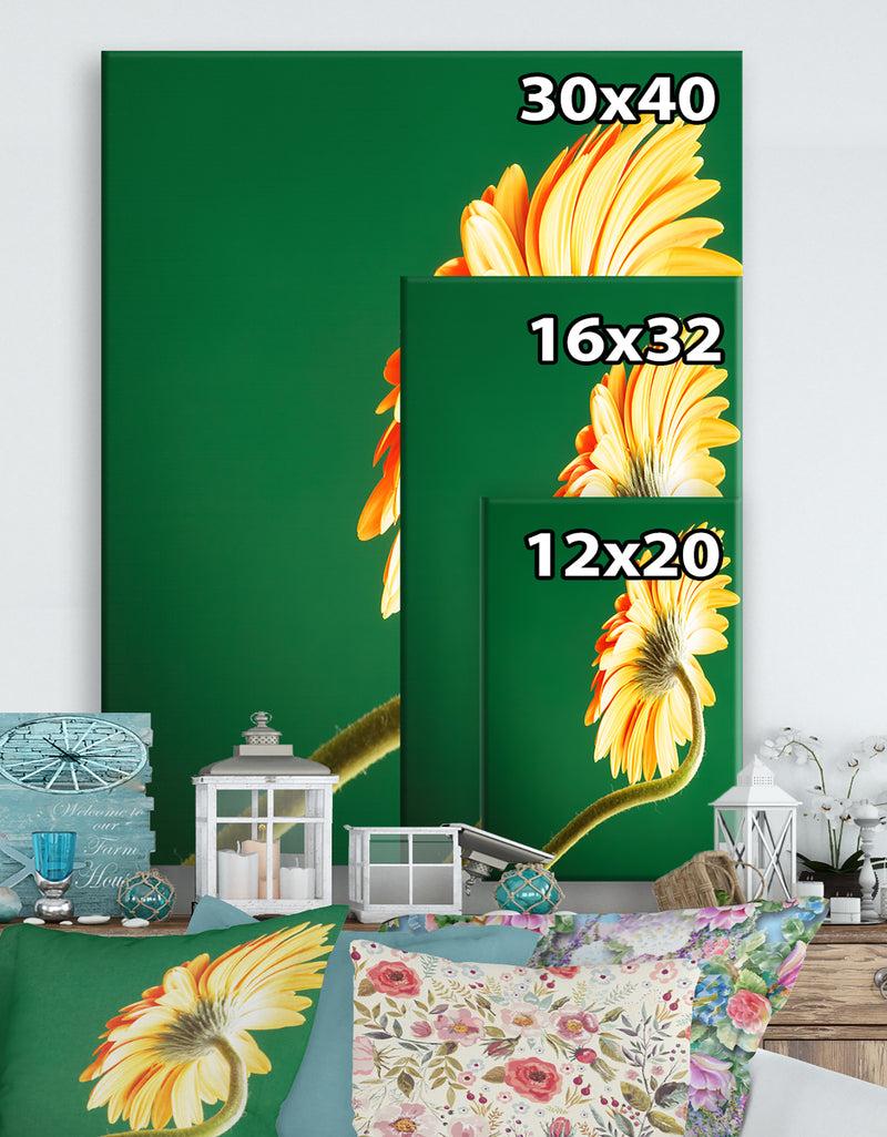 DesignQ Gerbera Flower On Green - Cottage Canvas Wall Art