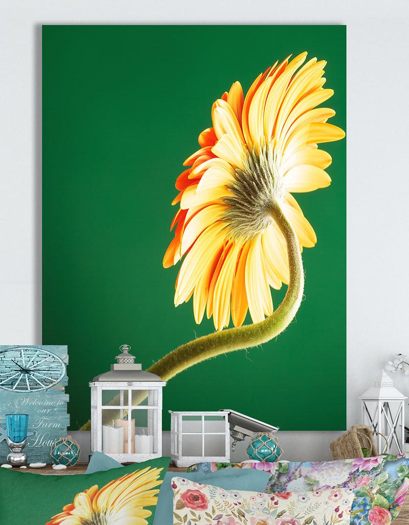 DesignQ Gerbera Flower On Green - Cottage Canvas Wall Art