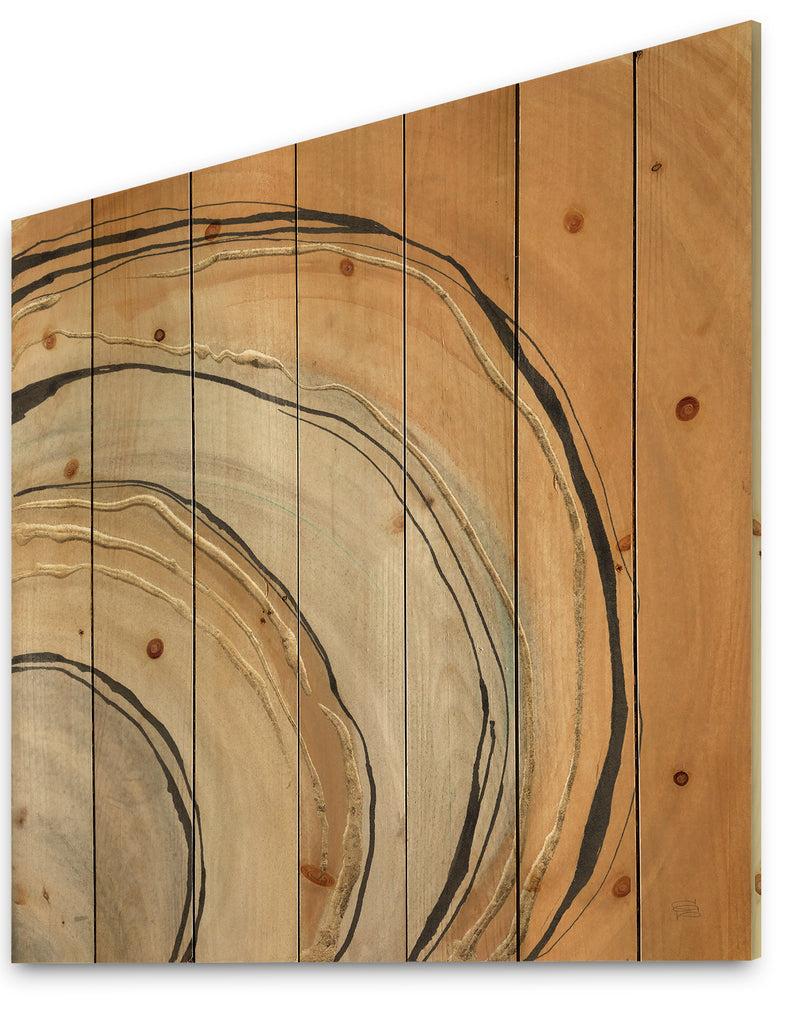 DesignQ Glam Canion II - Modern & Contemporary Print On Natural Pine Wood