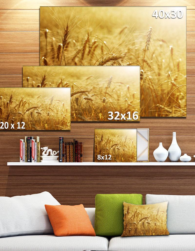 DesignQ Golden Wheat Field - Landscape Wall Art Print Canvas