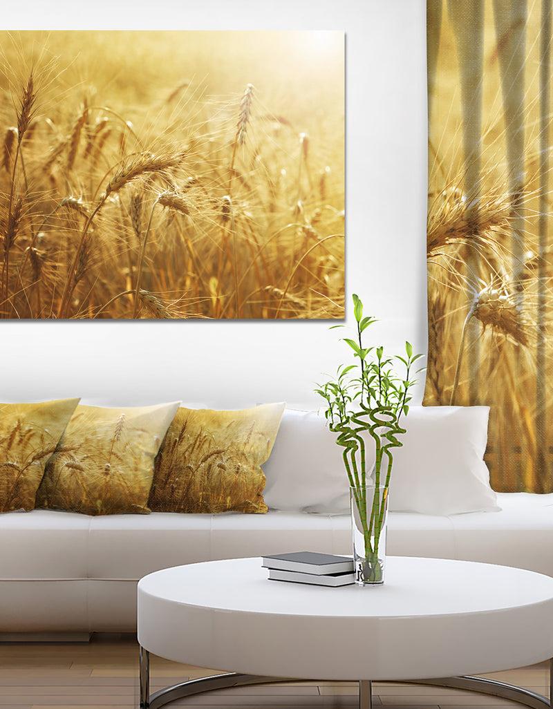 DesignQ Golden Wheat Field - Landscape Wall Art Print Canvas