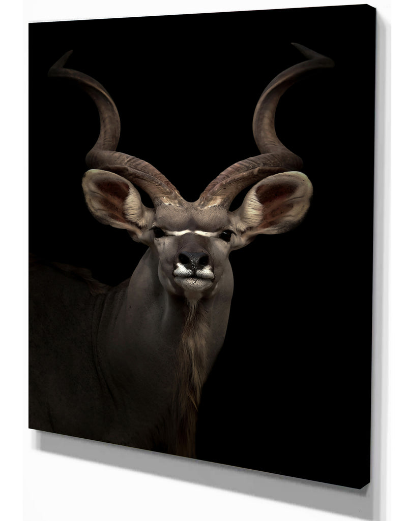 DesignQ Greater Gudu Tiger In The Dark - Animals Photography Print On Wrapped Canvas