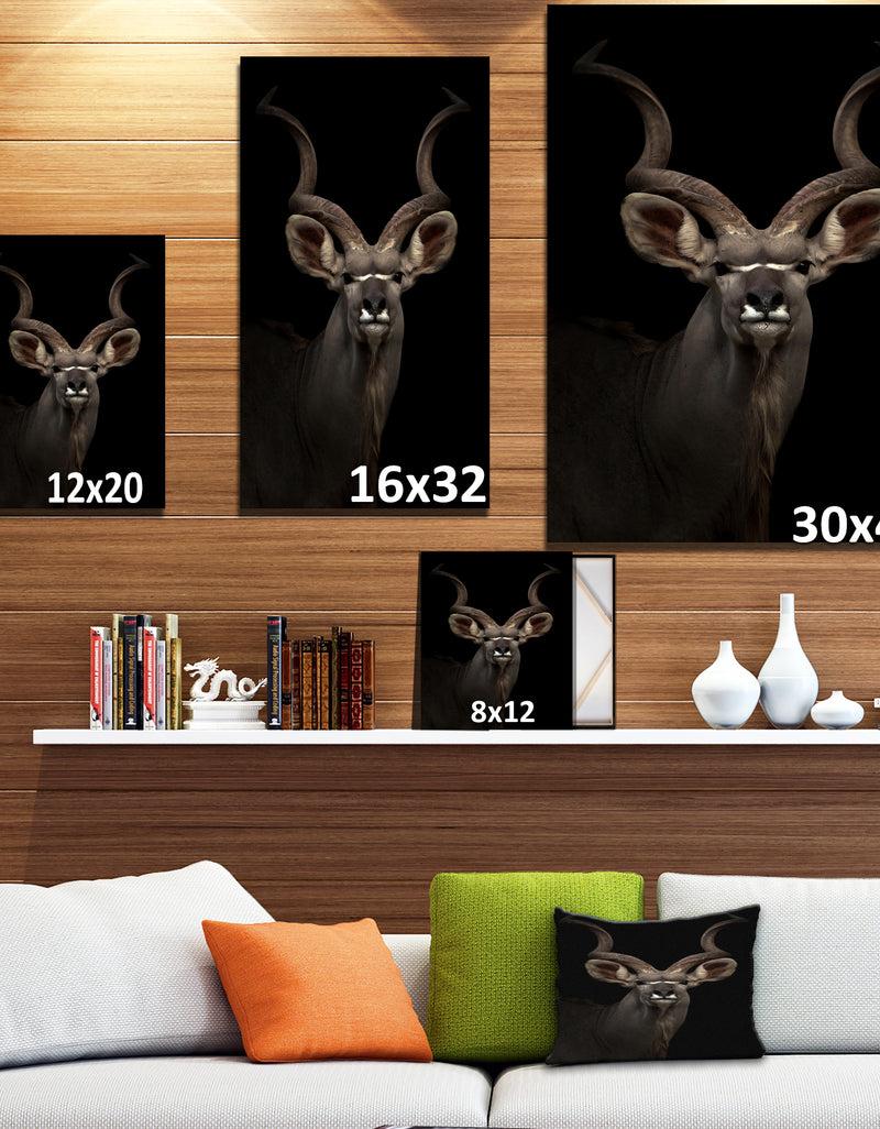 DesignQ Greater Gudu Tiger In The Dark - Animals Photography Print On Wrapped Canvas