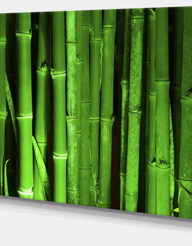 DesignQ Green Bamboo Forest - Modern Floral Large Canvas Art