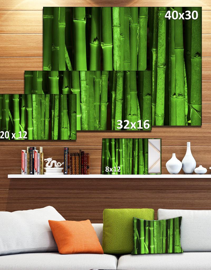 DesignQ Green Bamboo Forest - Modern Floral Large Canvas Art