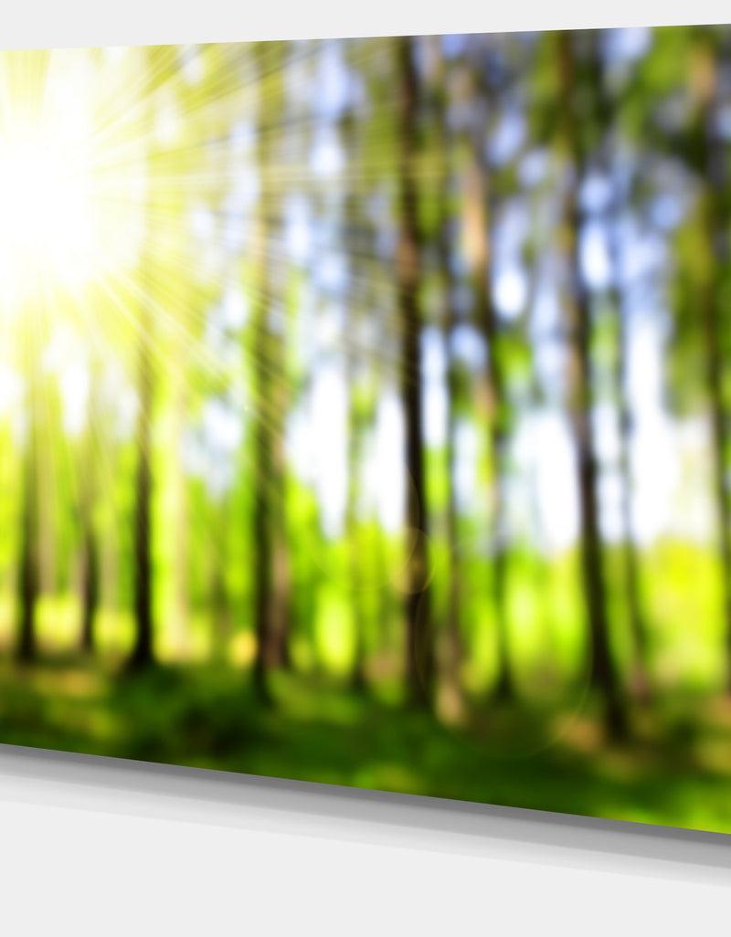DesignQ Green Bokeh In The Forest - Landscape Wall Art On Canvas