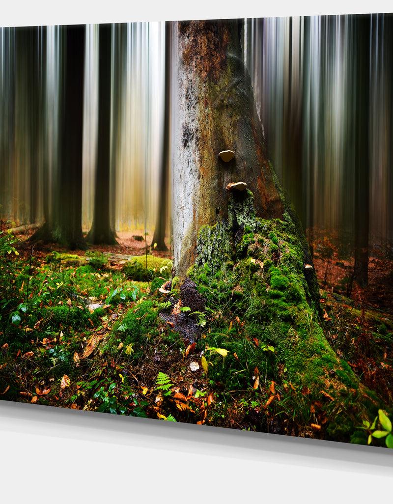 DesignQ Green Forest On Snowy Morning - Large Landscape Canvas Art Print