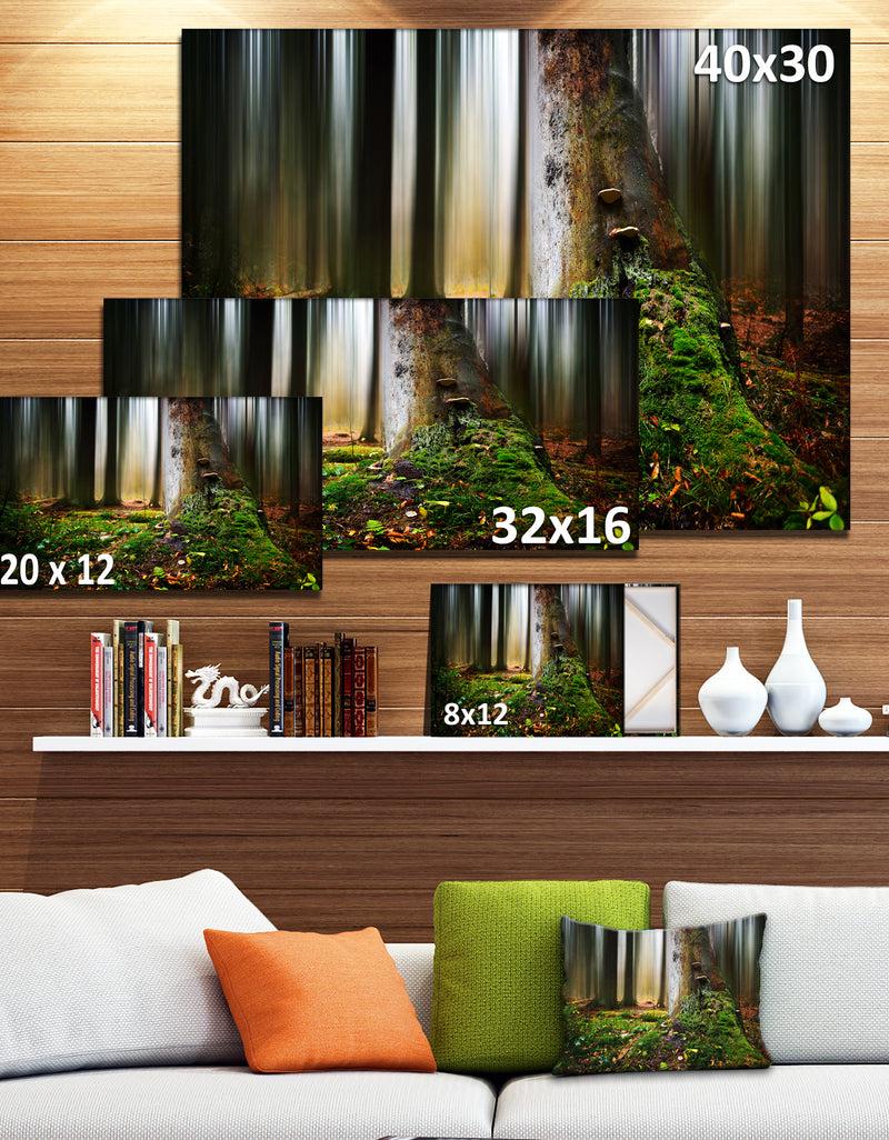 DesignQ Green Forest On Snowy Morning - Large Landscape Canvas Art Print