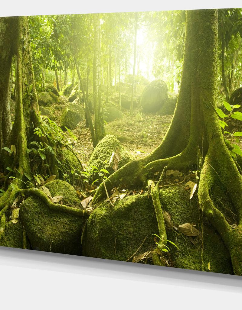 DesignQ Green Forest With Sun - Landscape Photo Canvas Print