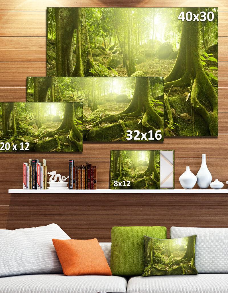 DesignQ Green Forest With Sun - Landscape Photo Canvas Print
