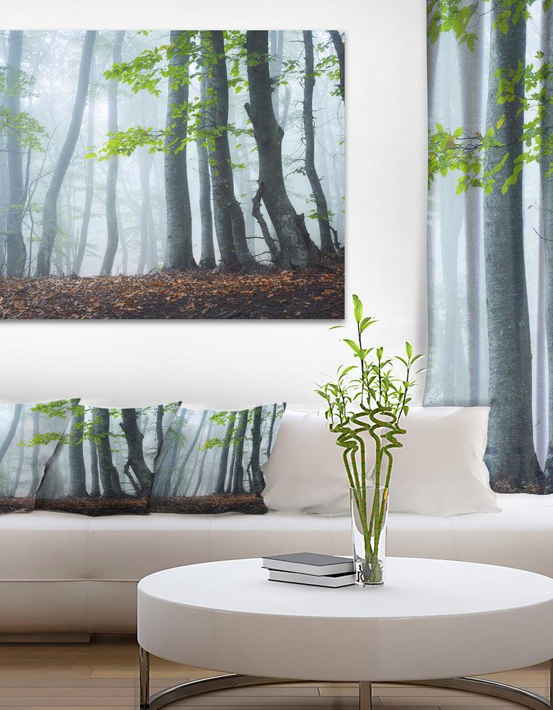 DesignQ Green Leaves in Old Forest - Landscape Photo Canvas Print