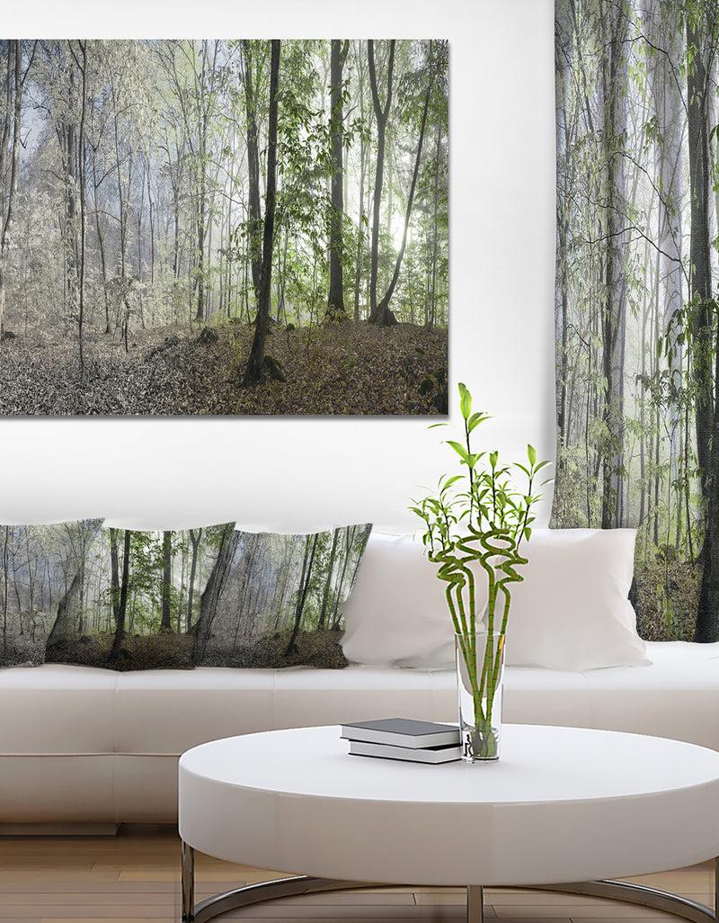 DesignQ Green Morning in Forest Panorama - Landscape Large Canvas Art Print