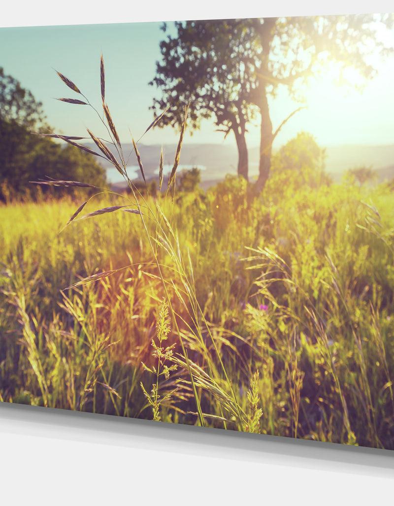 DesignQ Green Summer Meadow - Landscape Art Print Canvas