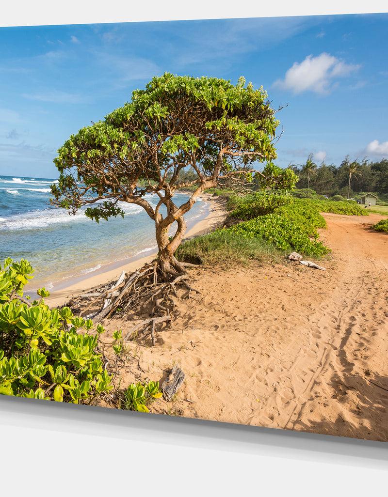 DesignQ Green Tree On Beach In Kauai Hawaii - Contemporary Seascape Art Canvas
