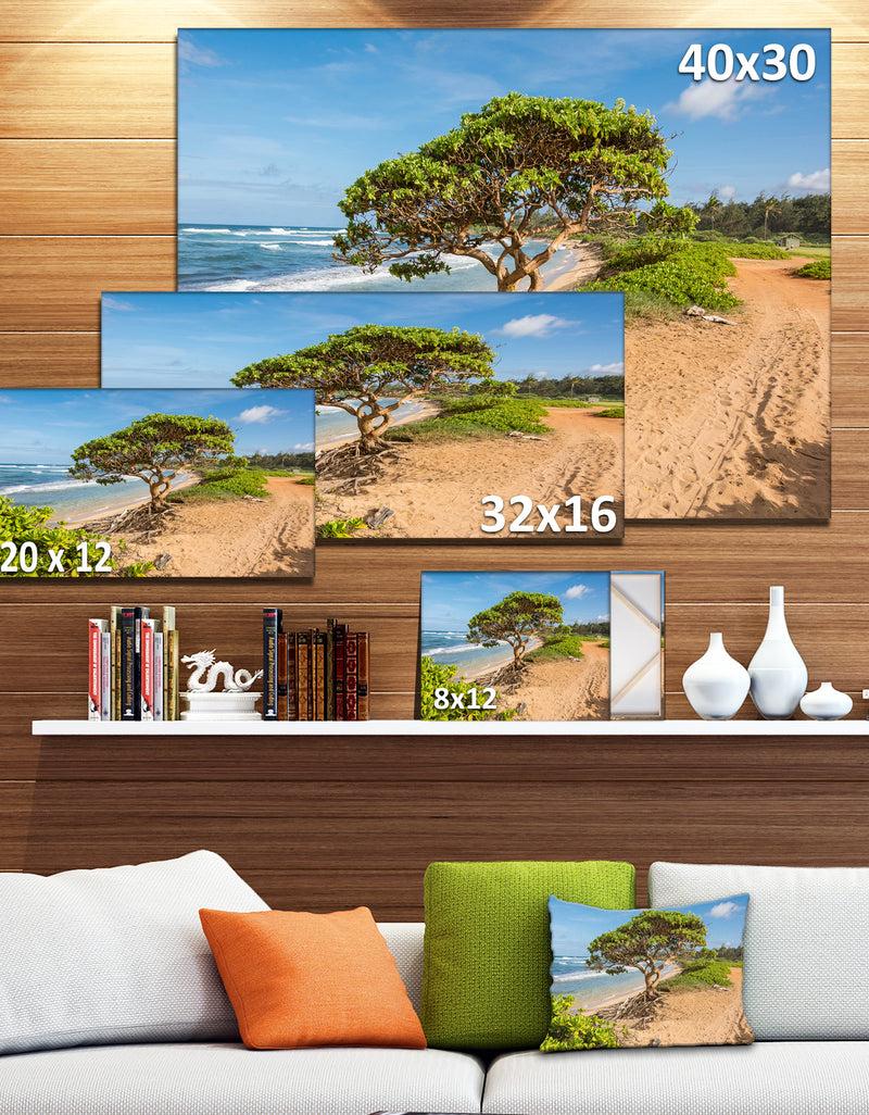 DesignQ Green Tree On Beach In Kauai Hawaii - Contemporary Seascape Art Canvas