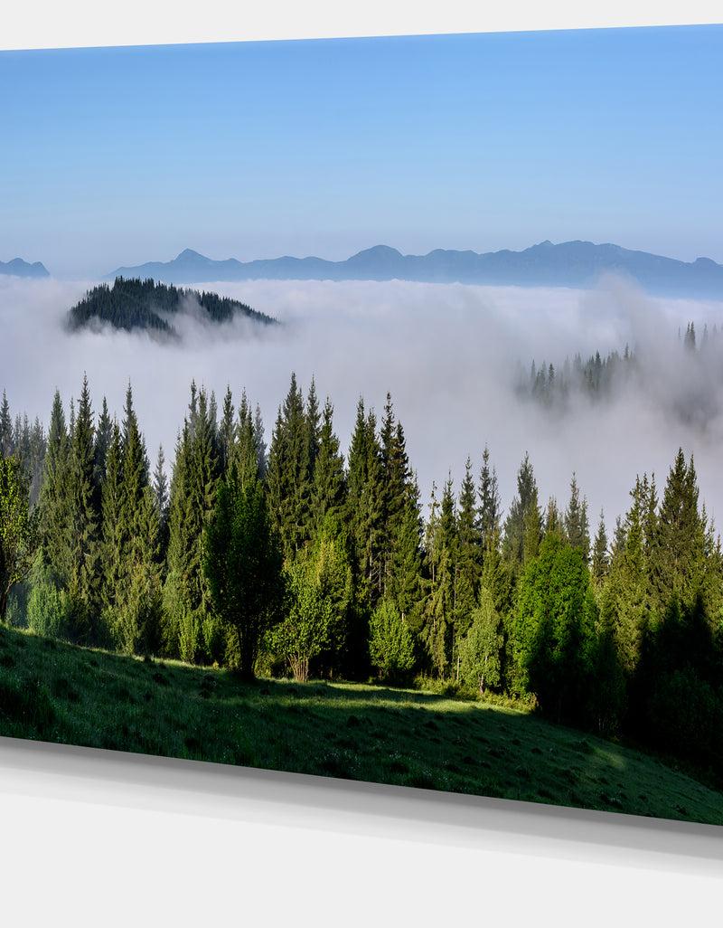 DesignQ Green Trees And Fog Over Mountains - Landscape Art Print Canvas