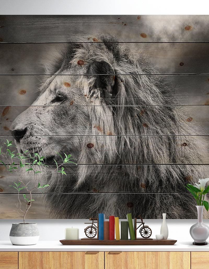 DesignQ Grey Wild African Lion - Animal Print on Natural Pine Wood