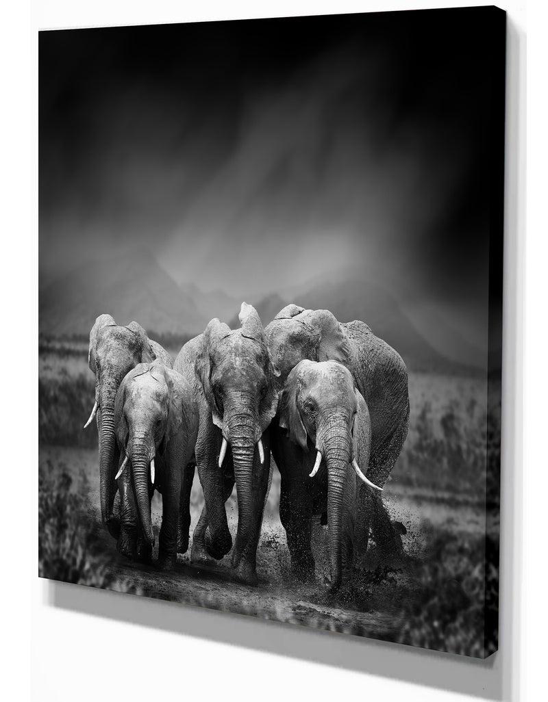 DesignQ Group Of Elephant In Black Background - Africa Animals Photography On Wrapped Canvas