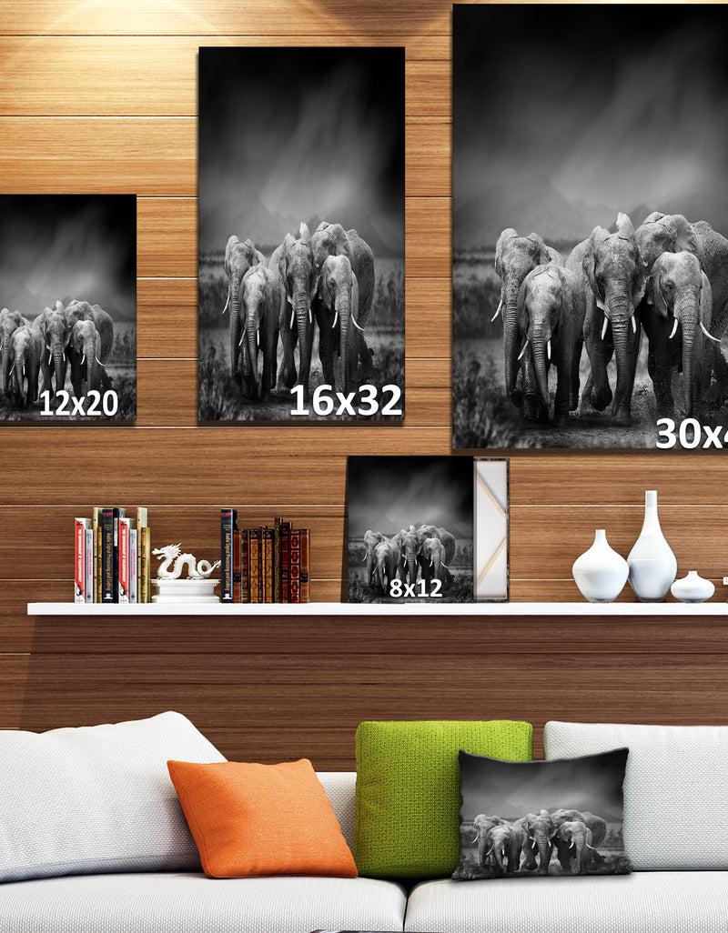 DesignQ Group Of Elephant In Black Background - Africa Animals Photography On Wrapped Canvas