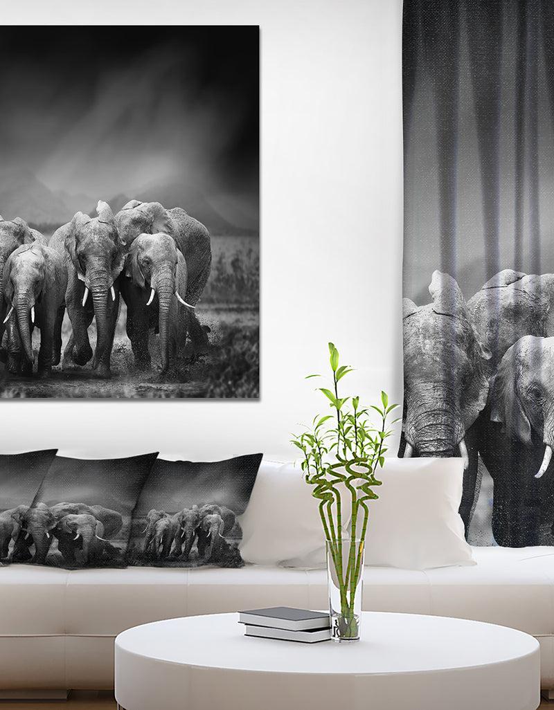 DesignQ Group Of Elephant In Black Background - Africa Animals Photography On Wrapped Canvas