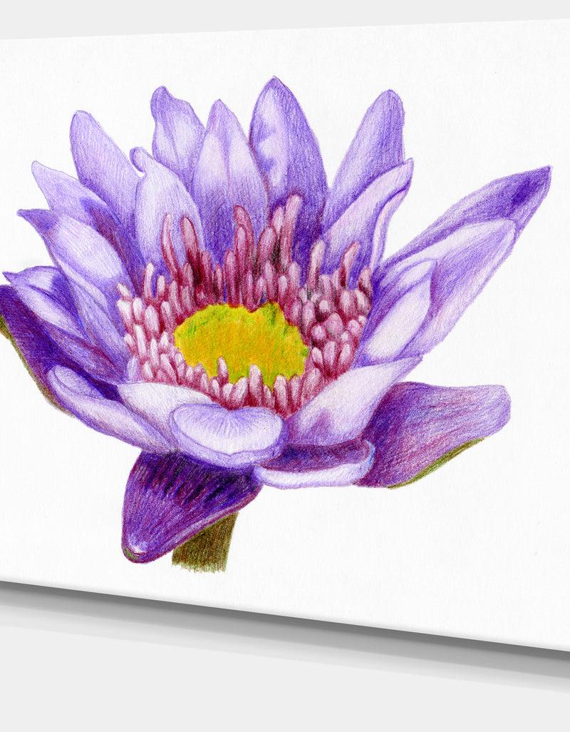DesignQ Hand'drawn Purple Lotus - Floral Art Canvas Print