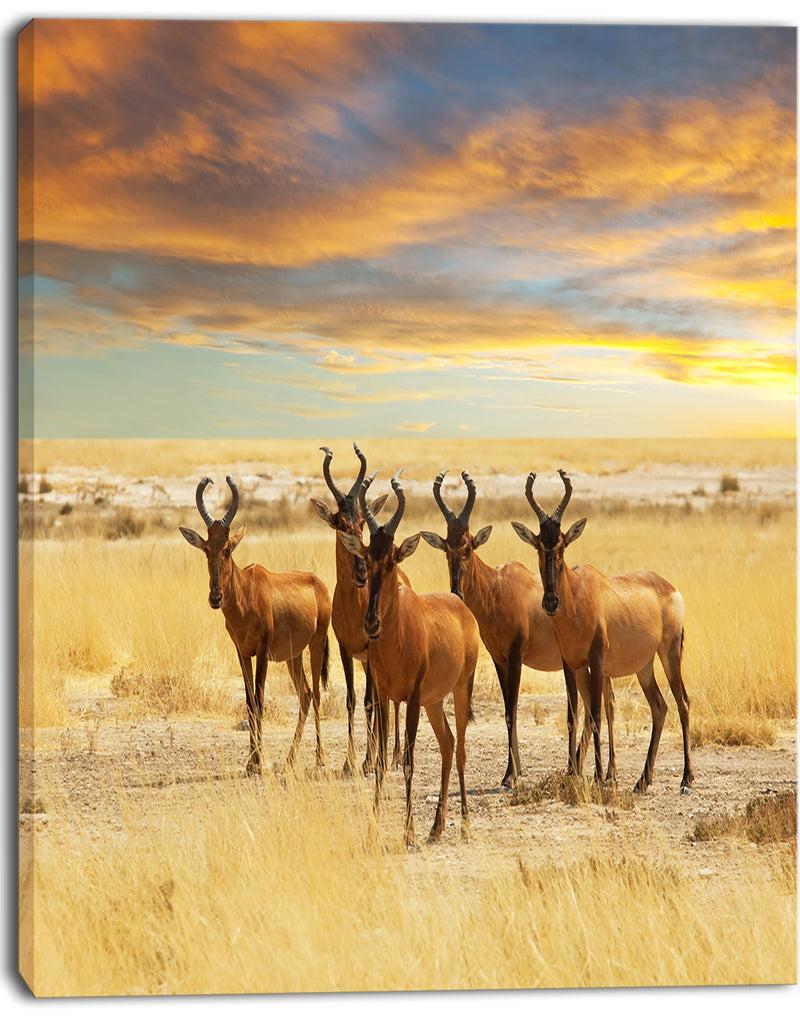 DesignQ Herd Of Antelope In Grassland - Extra Large African Art Print