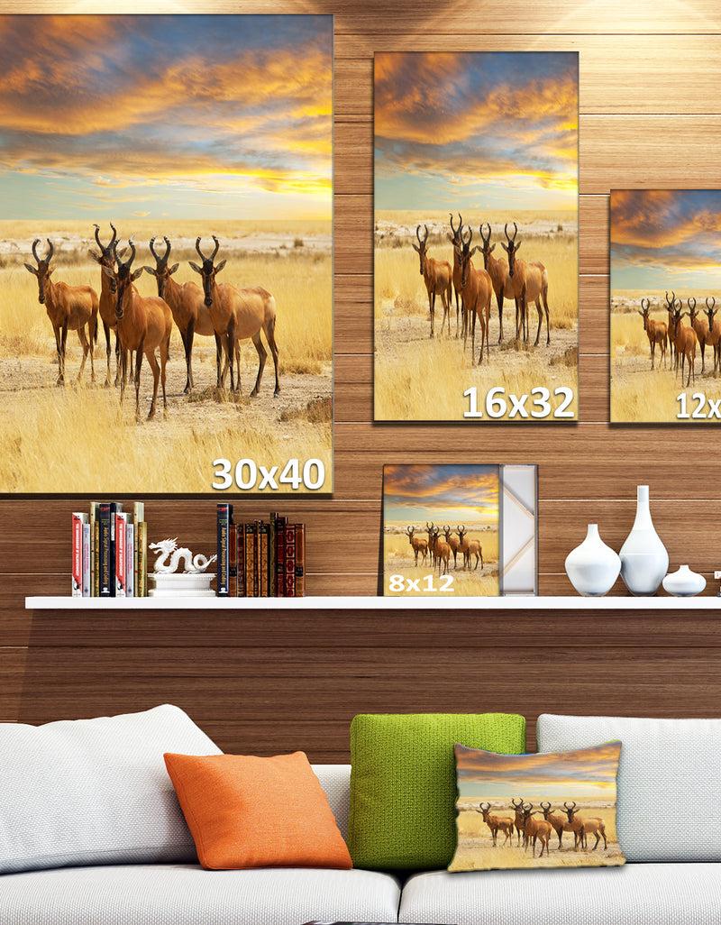 DesignQ Herd Of Antelope In Grassland - Extra Large African Art Print