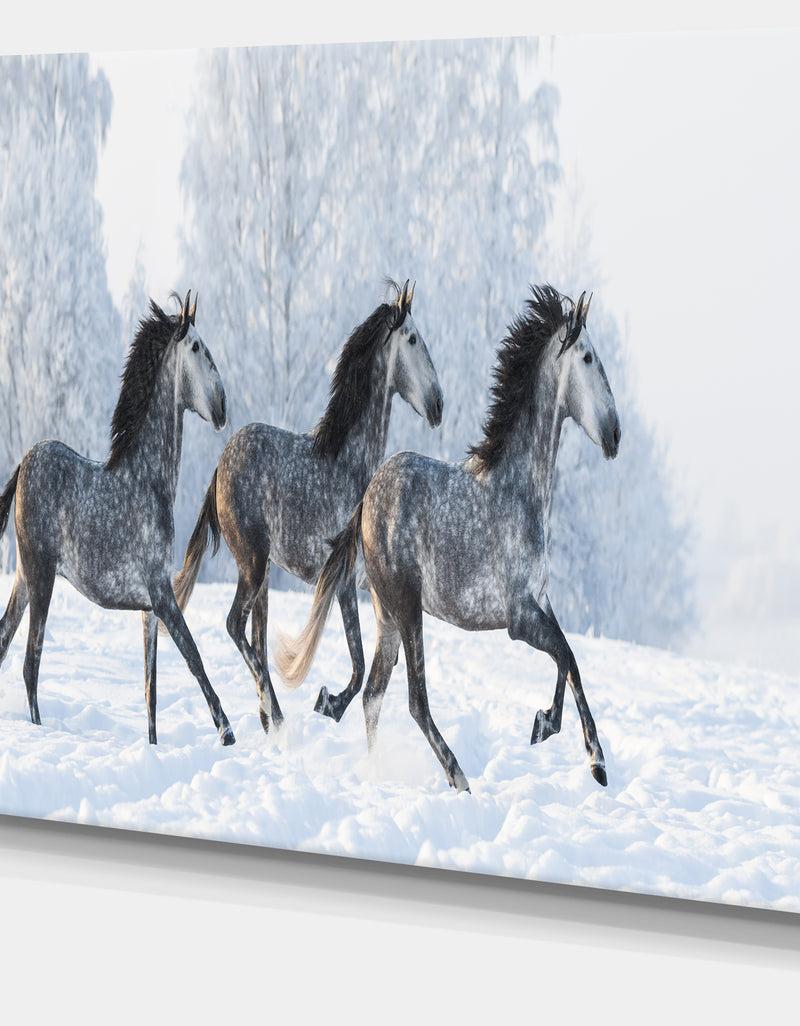 DesignQ Herd Of Horses Run Across Snow - Landscape Print Wall Artwork