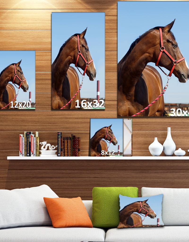 DesignQ Horse Head In Calm Sky - Animals Photography Print On Wrapped Canvas