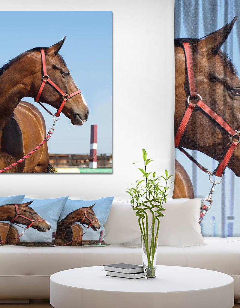 DesignQ Horse Head in Calm Sky - Animals Photography Print on Wrapped Canvas