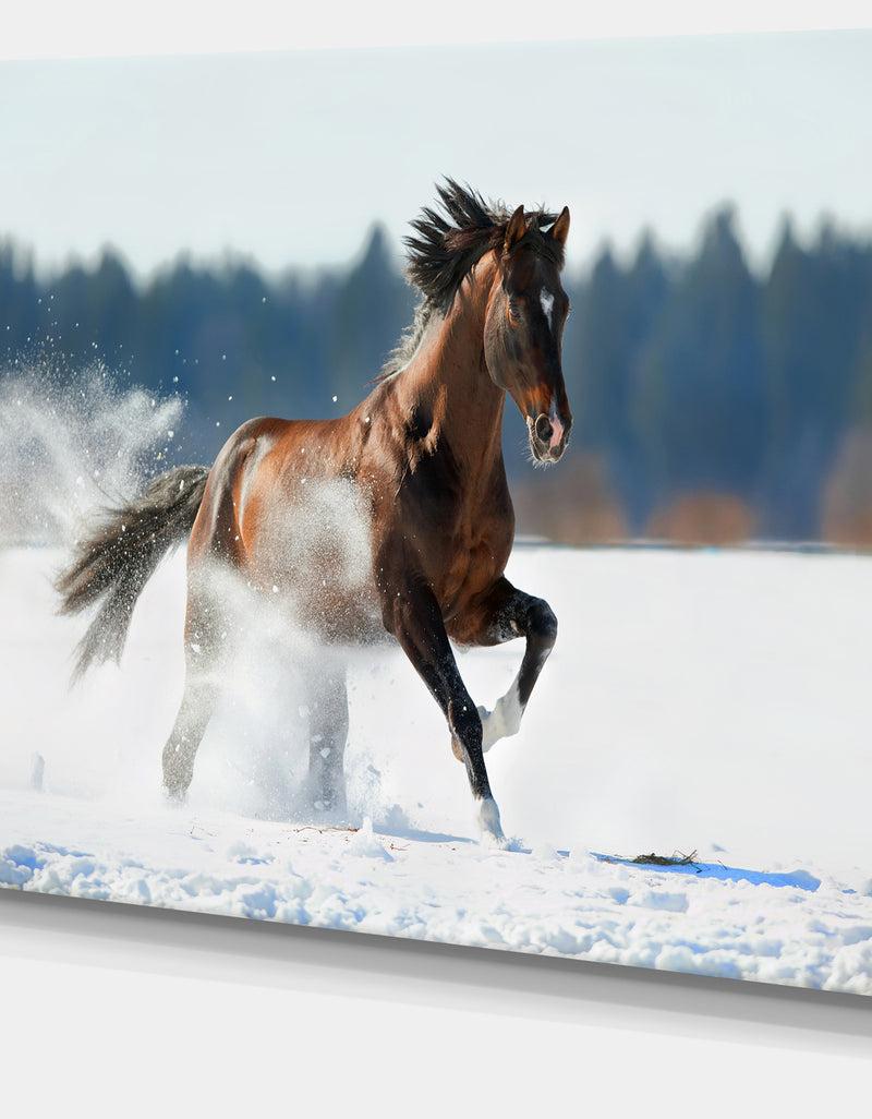 DesignQ Horse Running In Winter - Landscape Photo Canvas Print
