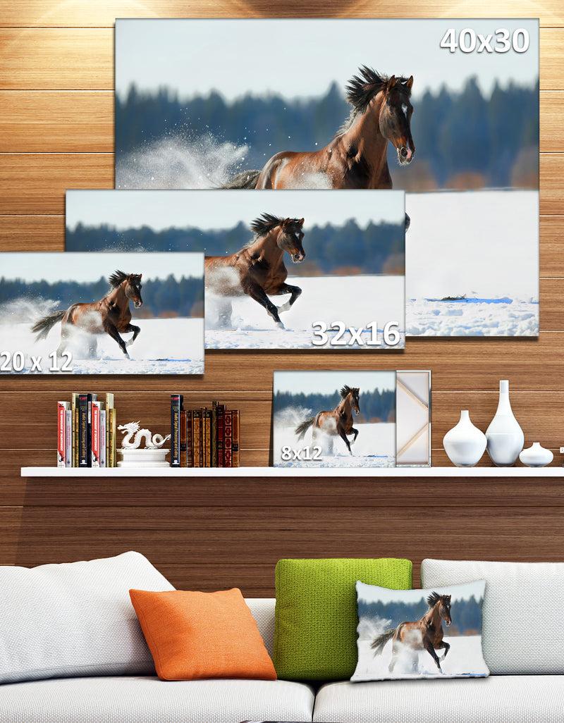 DesignQ Horse Running In Winter - Landscape Photo Canvas Print