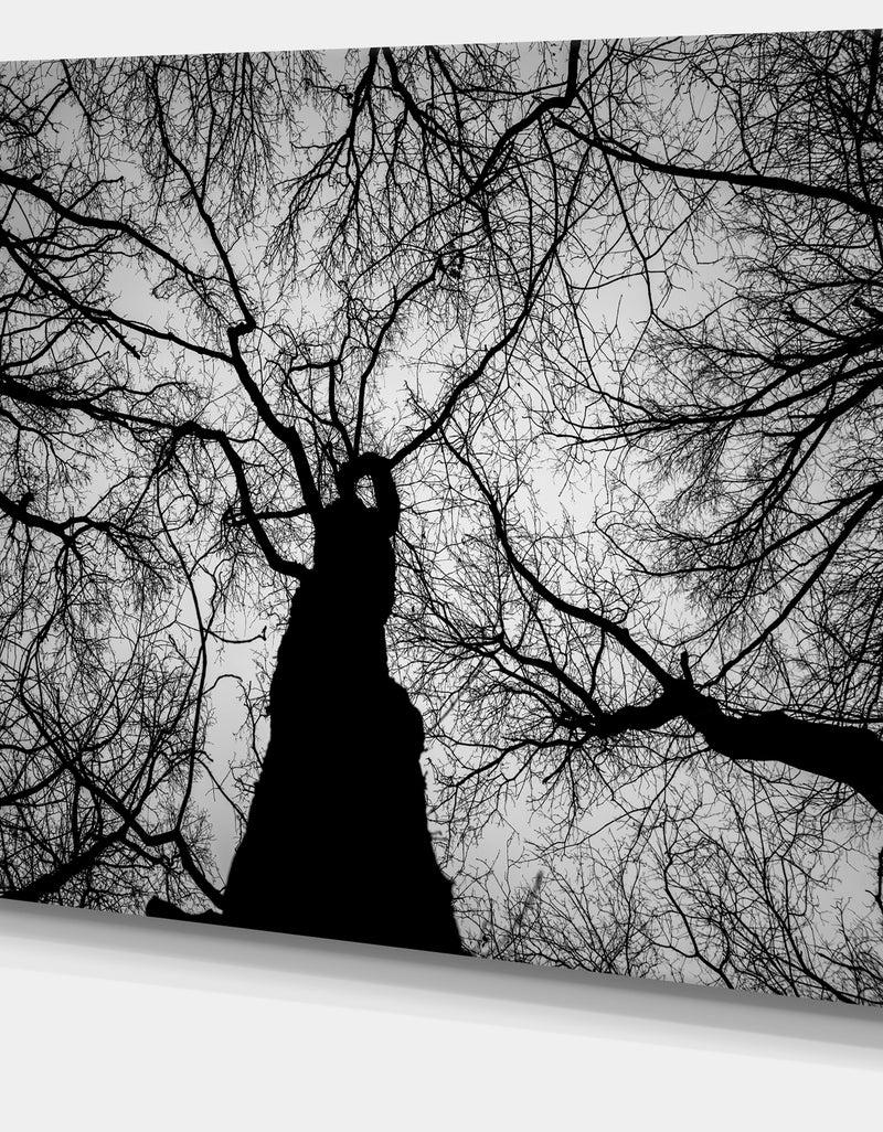 DesignQ Hoto Of Winter Branches - Landscape Wall Art On Canvas