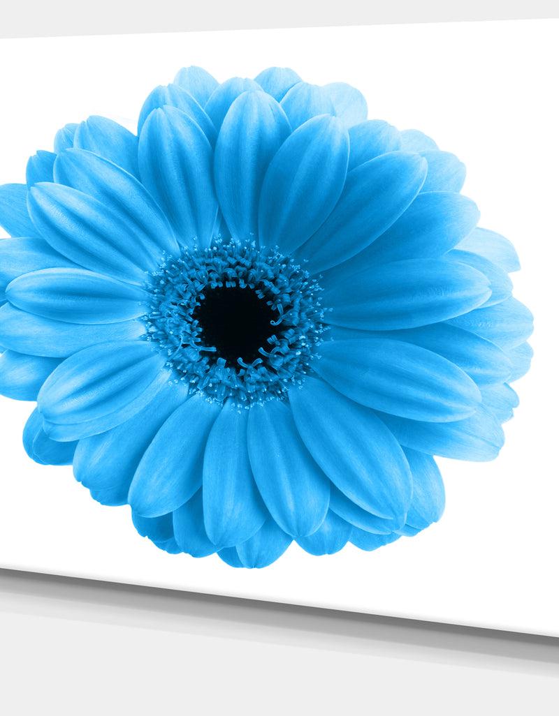 DesignQ Isolated Blue Flower - Floral Art Canvas Print