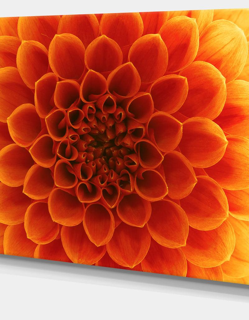 DesignQ Large Dark Yellow Flower And Petals - Modern Floral Canvas Wall Art