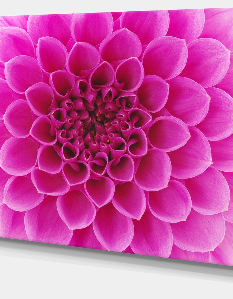 DesignQ Large Pink Flower And Petals - Modern Floral Canvas Wall Art