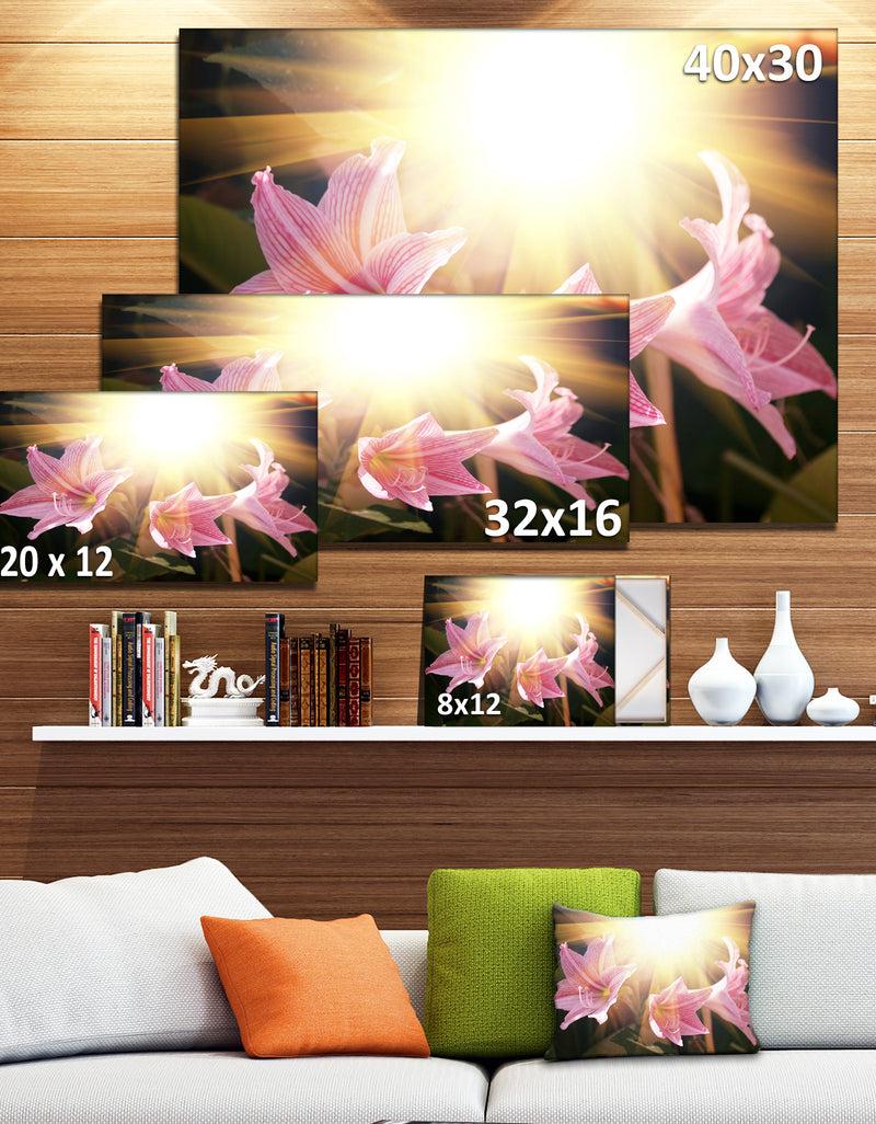 DesignQ Large Pink Flowers With Sunlight - Large Flower Wall Artwork