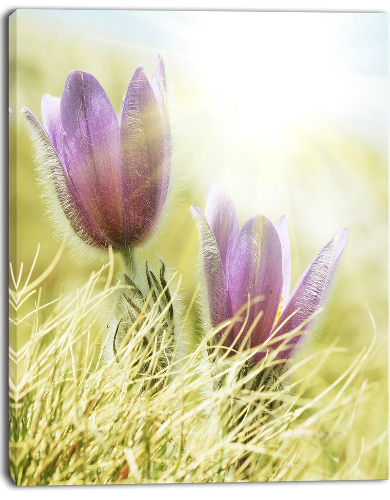 DesignQ Large Purple Flowers In Green Grass - Modern Flower Canvas Art Print